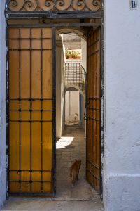 2019-September-29-Tunesien-2594-modi(800x1200) Medina von Tunis, Tunesien 2019