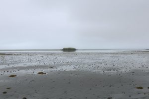 Nebel und Nieselregen an der Küste bei Höfn