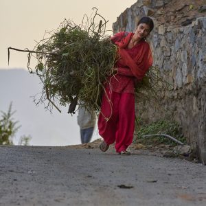 Bandipur, Nepal, November 2014