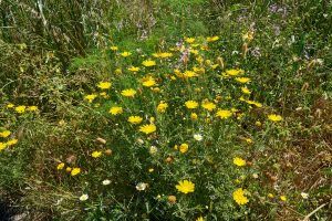 Äolische Inseln. Italien Mai 2022