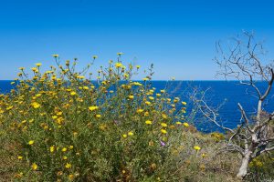 Stromboli. Äolische Inseln. Italien Mai 2022
