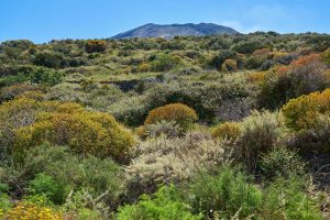 Stromboli. Äolische Inseln. Italien Mai 2022