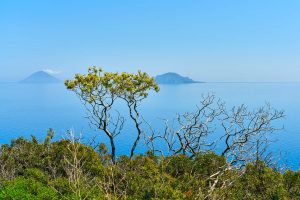 Salina, Äolische Inseln, Italien, Mai 2022