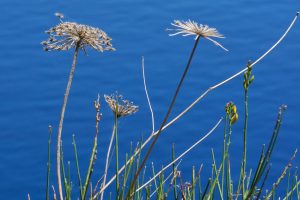 Salina, Äolische Inseln, Italien, Mai 2022