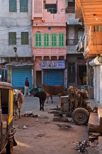 Jodhpur, Indien 2011 Jodhpur, Indien 2011