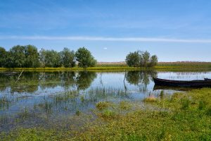 Im Donaudelta, Rumänien Mai 2023 Im Donaudelta, Rumänien Mai 2023