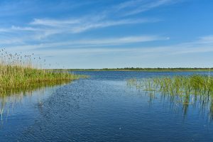 Im Donaudelta, Rumänien Mai 2023 Im Donaudelta, Rumänien Mai 2023