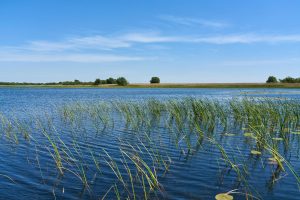 Im Donaudelta, Rumänien Mai 2023 Im Donaudelta, Rumänien Mai 2023