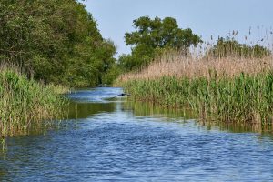 Im Donaudelta, Rumänien Mai 2023 Im Donaudelta, Rumänien Mai 2023