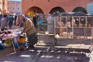 Markt in einer kleinen Stadt im Süden, Marokko, Oktober 2024