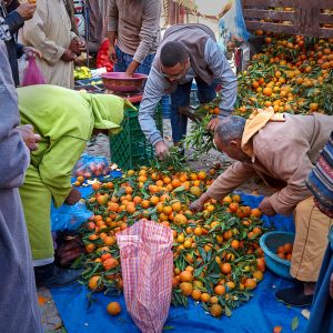 Markt in einer kleinen Stadt im Süden, Marokko, Oktober 2024