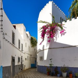 Asilah, Marokko Oktober 2024 Asilah, Marokko Oktober 2024