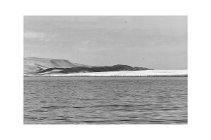 Nordperuanische Küstenwüste, Peru 2016