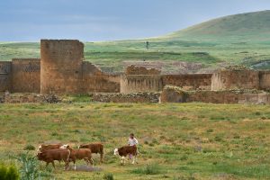Ruinenstadt Ani an der Grenze zu Armenien, Türkei 2026
