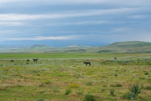 Landschaft an der armenischen Grenze bei Ani, Ostanatolien, Türkei 2026